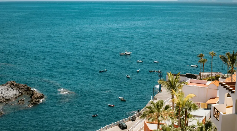 Pilot whales surfacing near the Los Gigantes cliffs